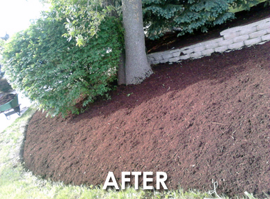 low cost mulch landscaping company